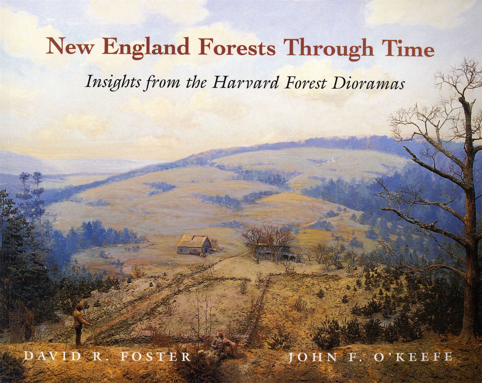 Forest Past New England Forests Through Time — Harvard University Press