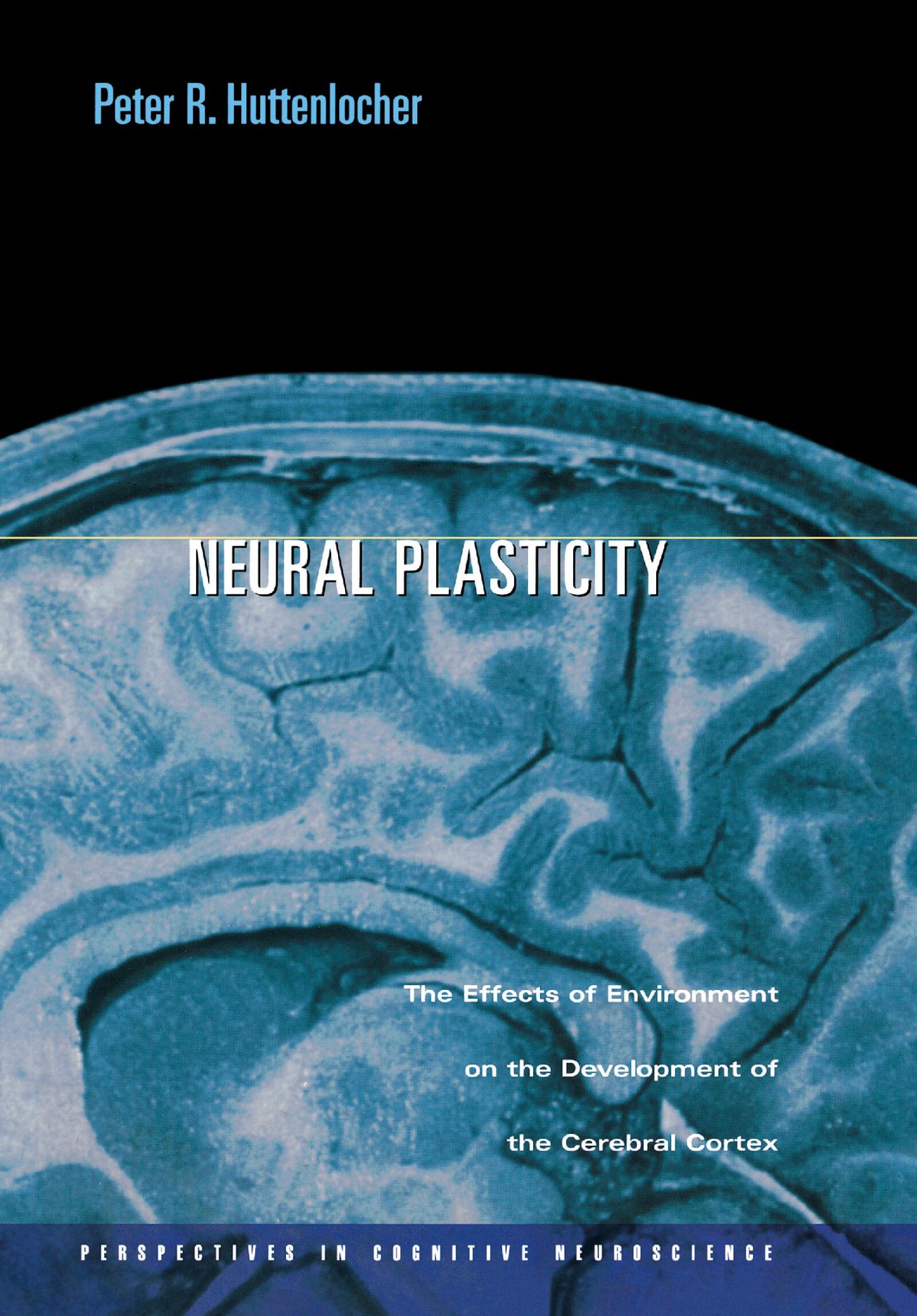 Memory, Brain, and Belief — Harvard University Press