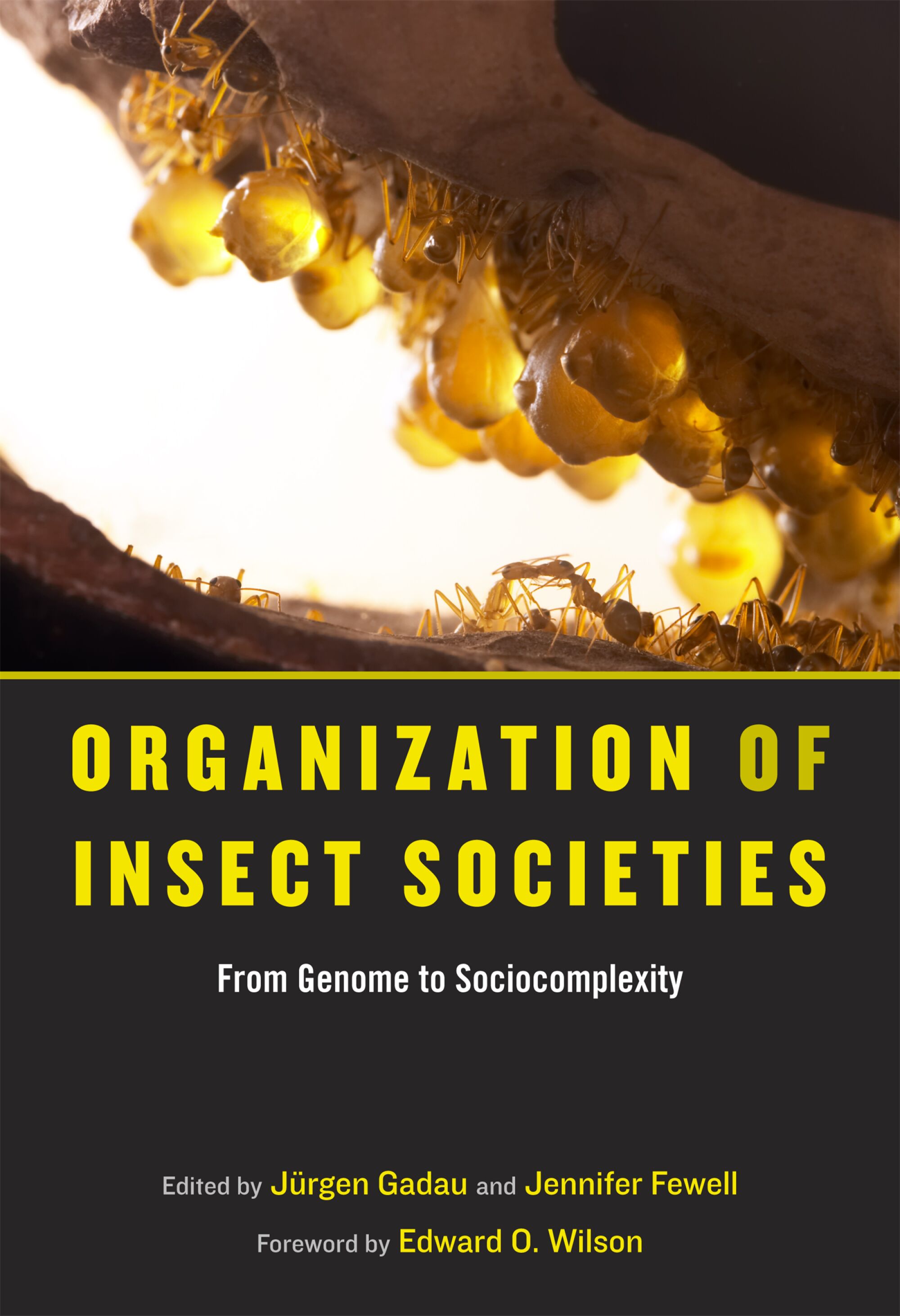 The Other Insect Societies — Harvard University Press