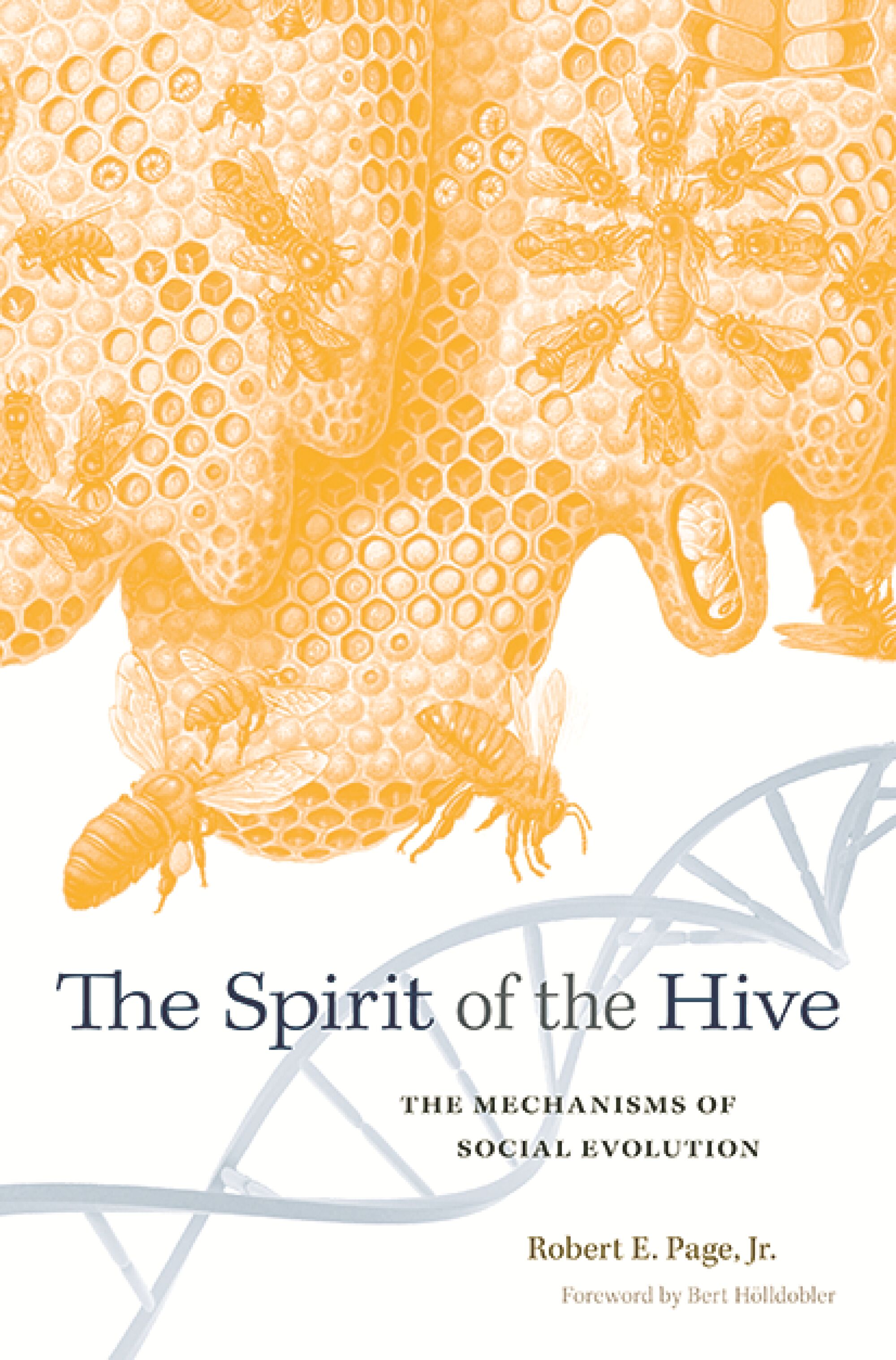 The Other Insect Societies — Harvard University Press