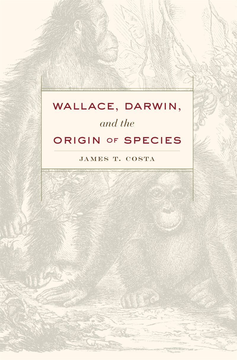 The Other Insect Societies — Harvard University Press