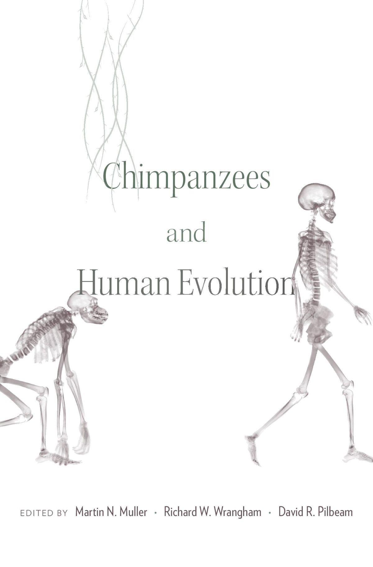 Evolution Books Ontogeny and Phylogeny — Harvard University Press