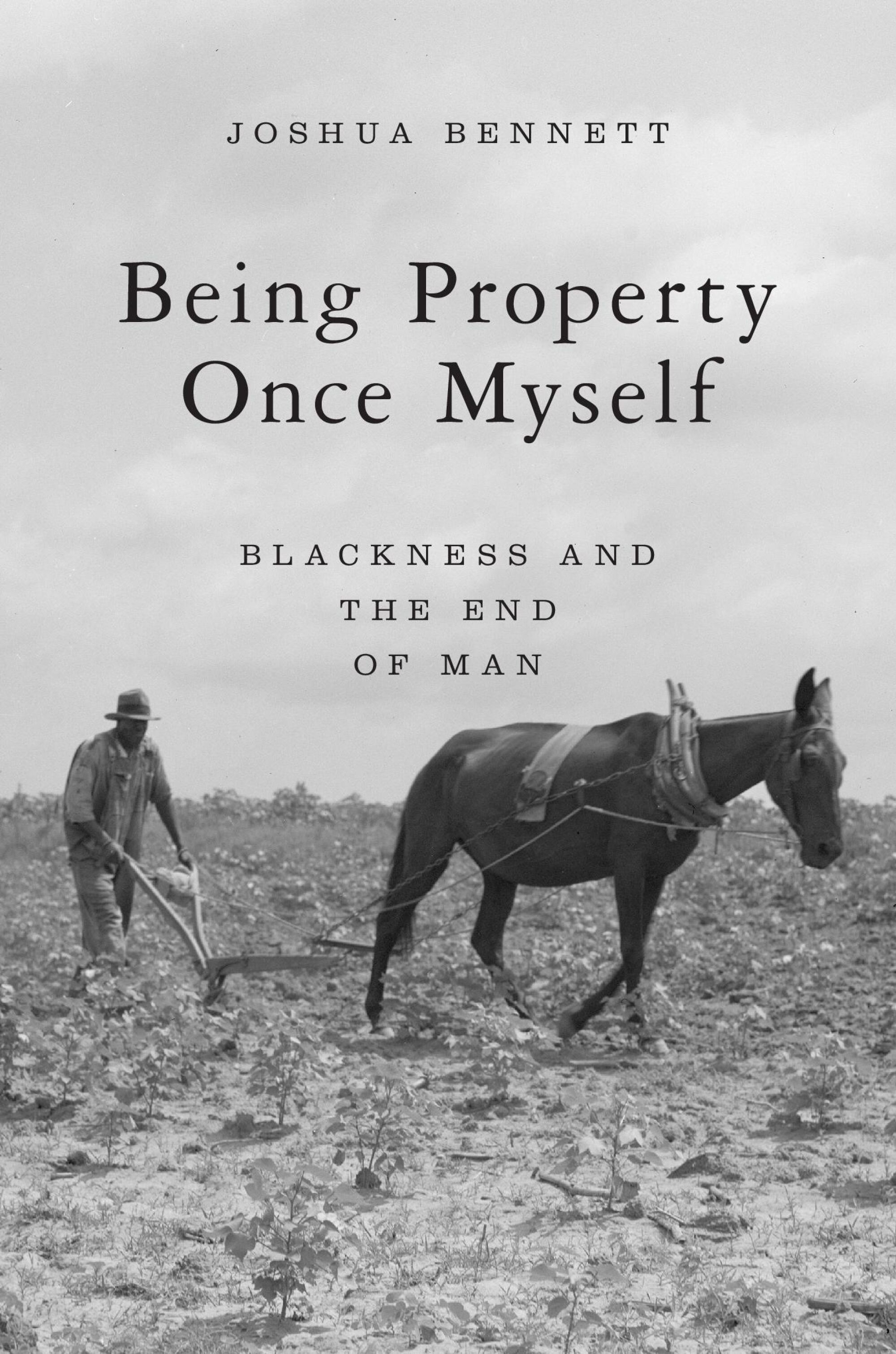 Jump Jim Crow — Harvard University Press